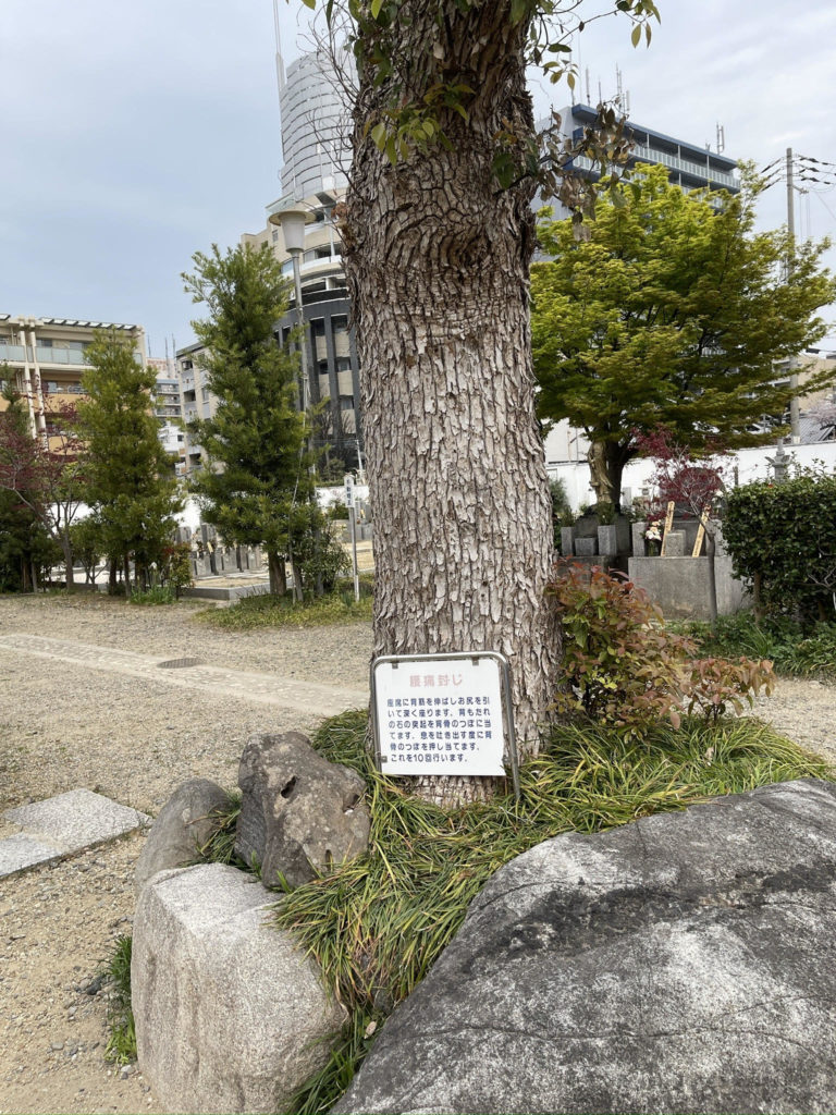 腰痛封じの石
yotsu fūji no ishi