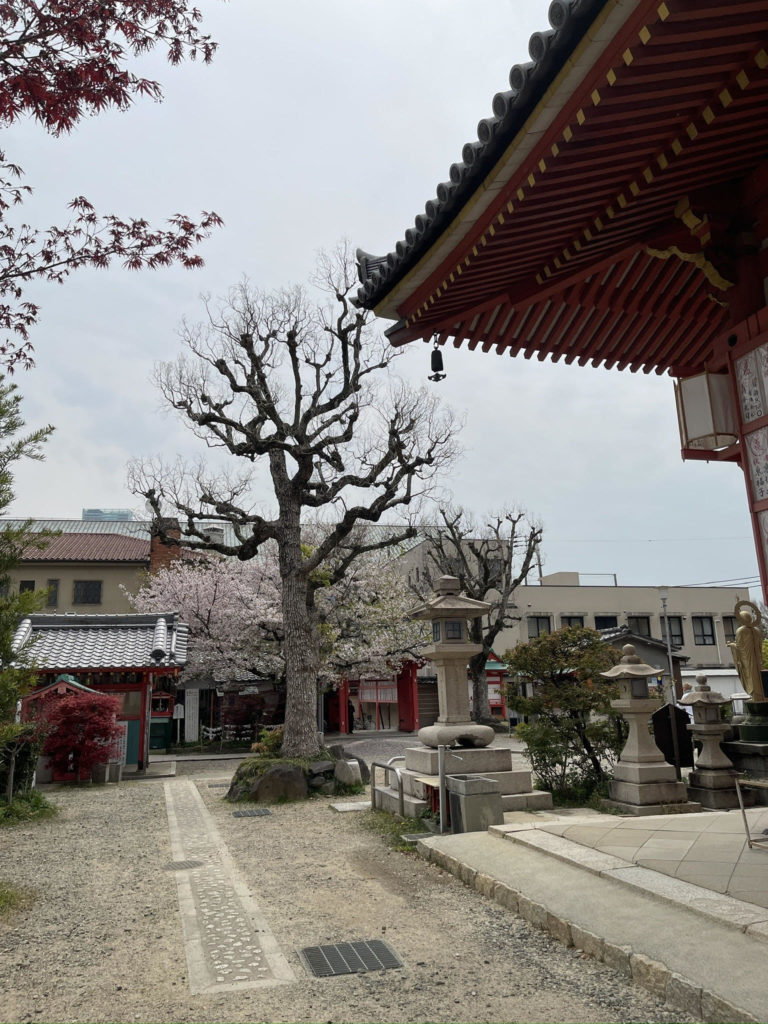 境内の風景
View of the temple grounds